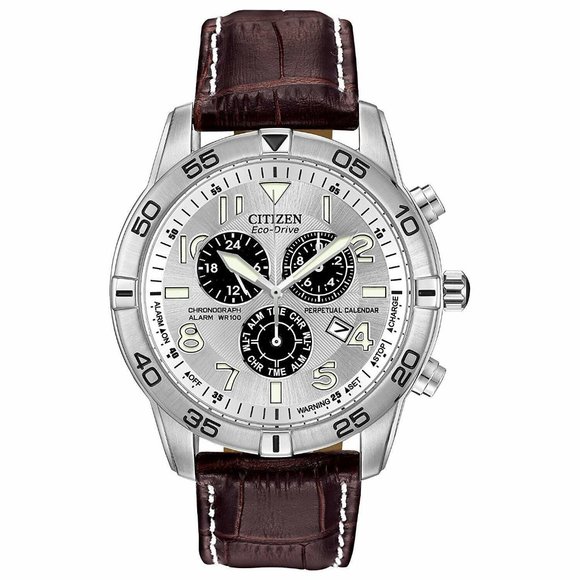 Citizen 44mm Perpetual Eco Drive Watch